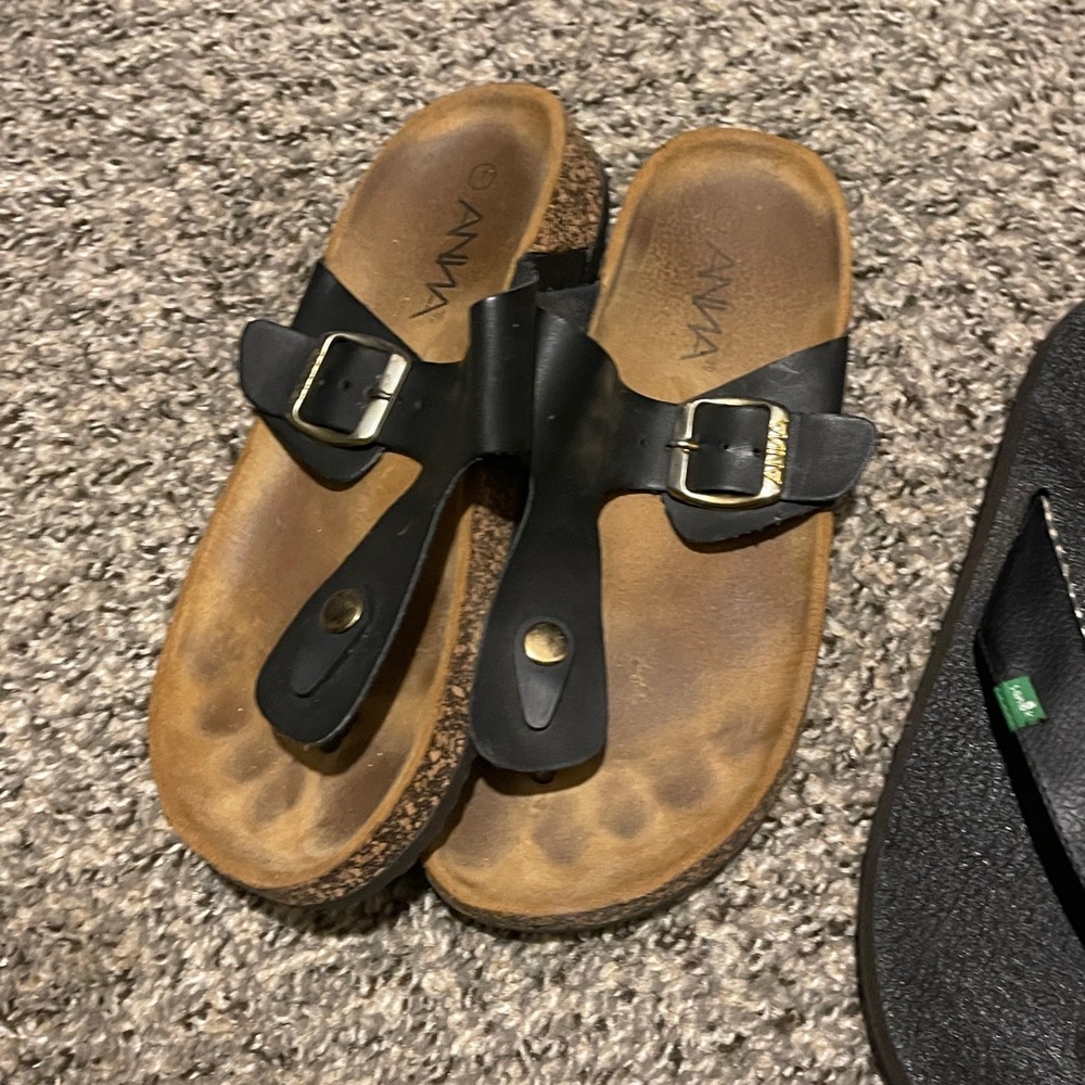 Anna Black and Brown Buckle Sandals